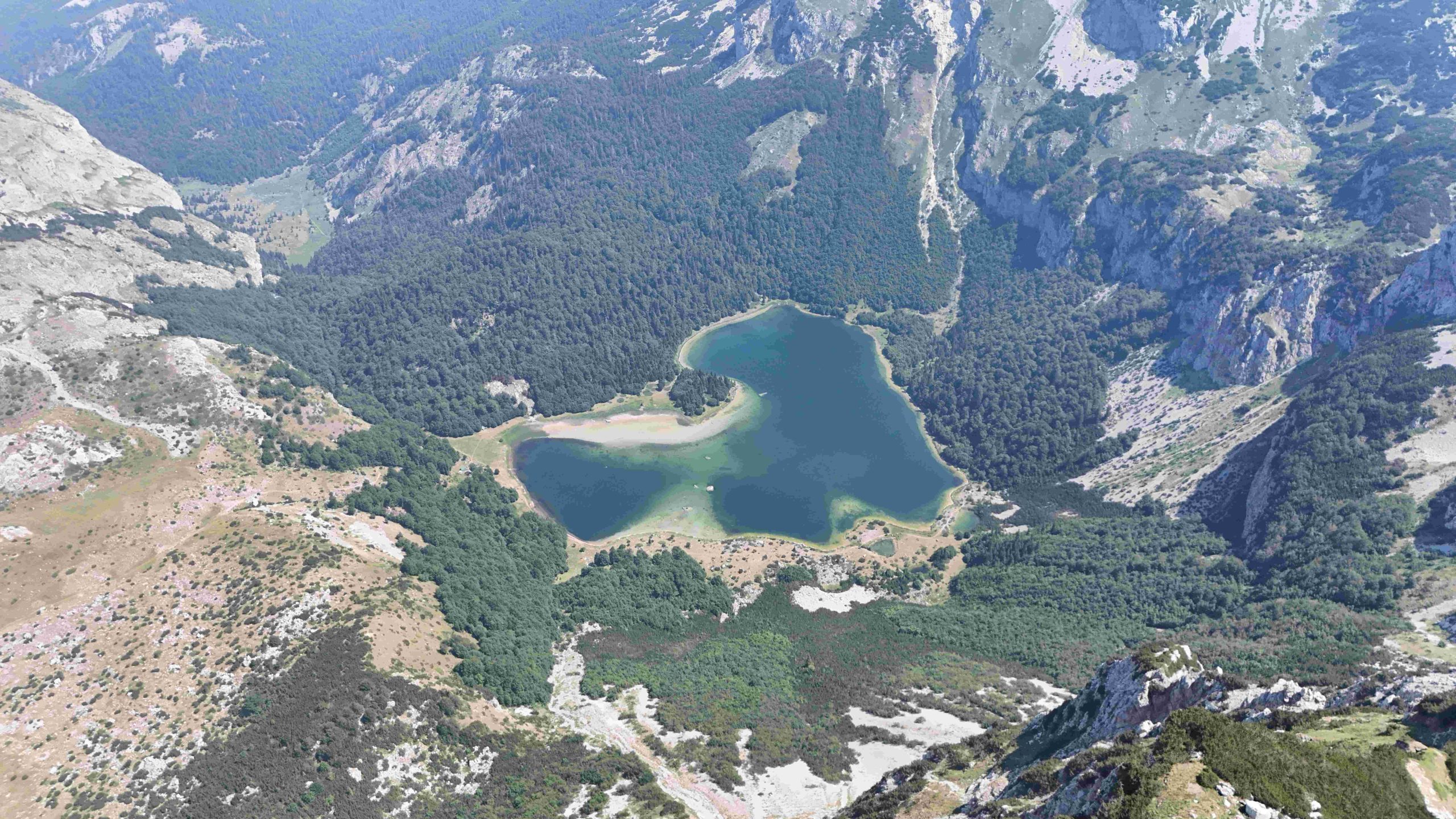 Trnovačko jezero