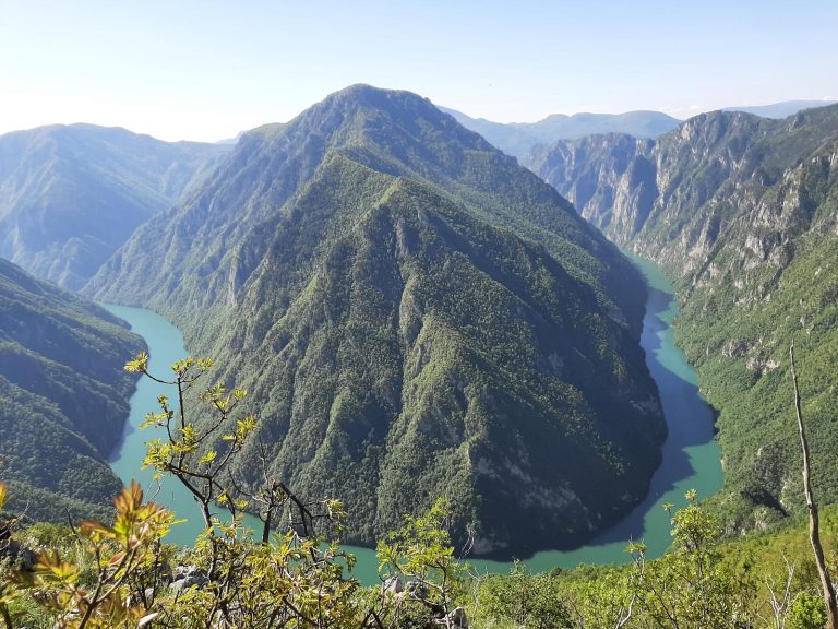 NP Drina NP Tara Pogledala