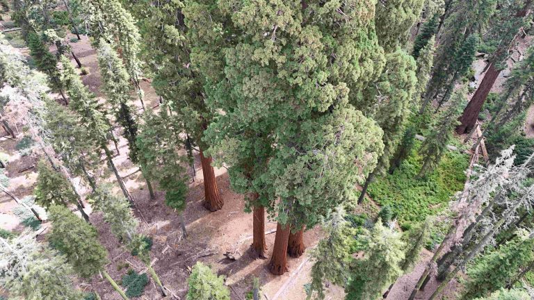 Sierra Nevada 2027.